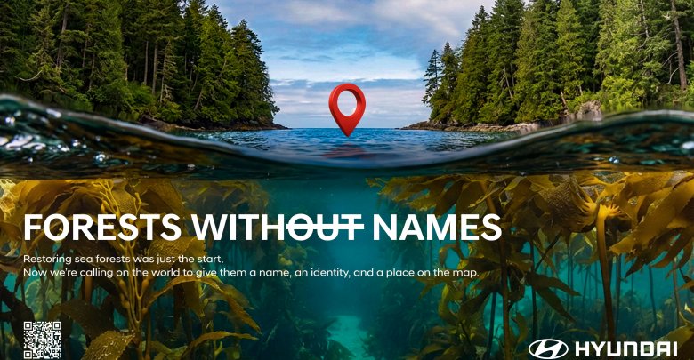 Bosques sin Nombre: Hyundai Motor saca a la luz los bosques marinos ocultos del mundo
